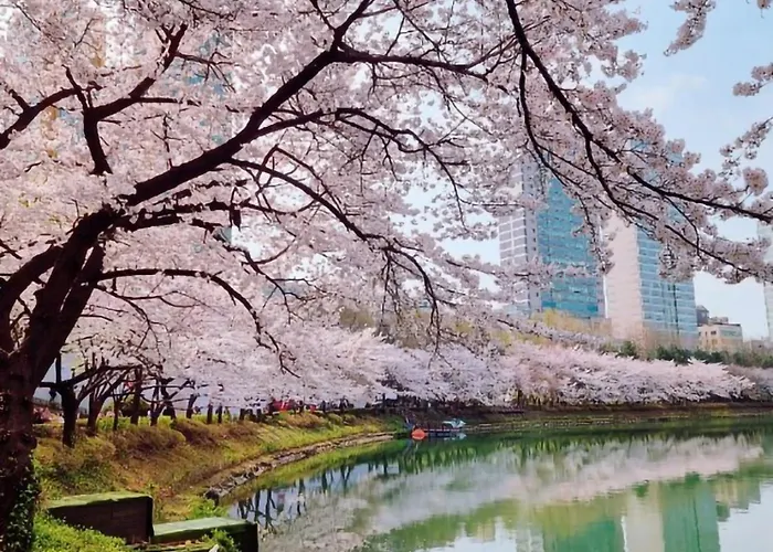 Lotte World Kspo "casareign" 삼전역5분, 무료주차